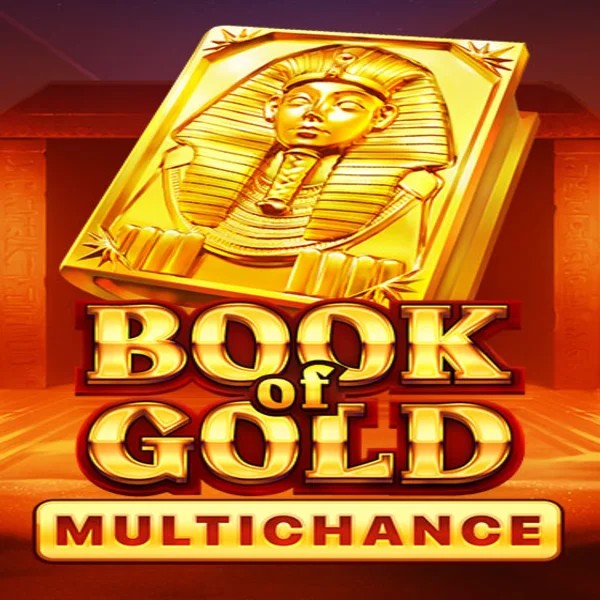 Book of Gold Multichance logo by Playson at SkyHills Casino