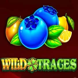 Wild Traces slot logo by Amusnet Interactive at SkyHills Casino